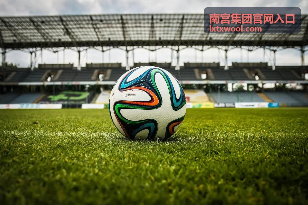 南宫集团官网入口集团概览中的产业投资板块说明图